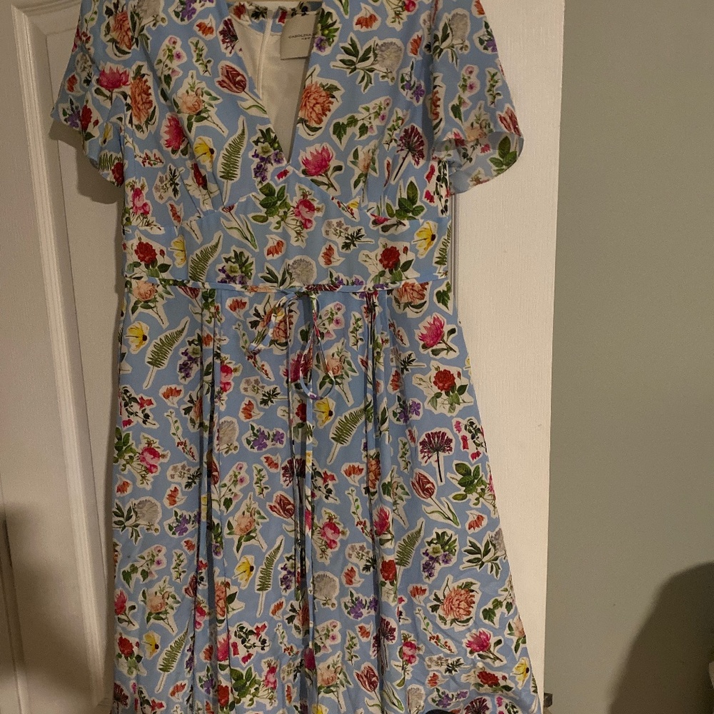 Carolina Herrera Silk floral dress